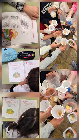 DÍA INTERNACIONAL DE LA MADRE TIERRA 2026