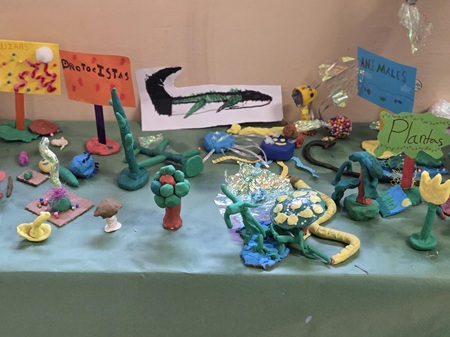 DM suelo 2025 DM suelo 2025