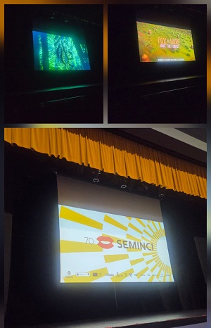 Miniminci Tudela 2025 Miniminci Tudela 2025