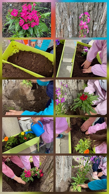 Sem Nat 1 2026 Sem Nat 1 2026